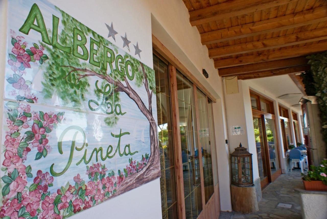 Albergo La Pineta Marina dʼMarina dʼAndora Εξωτερικό φωτογραφία