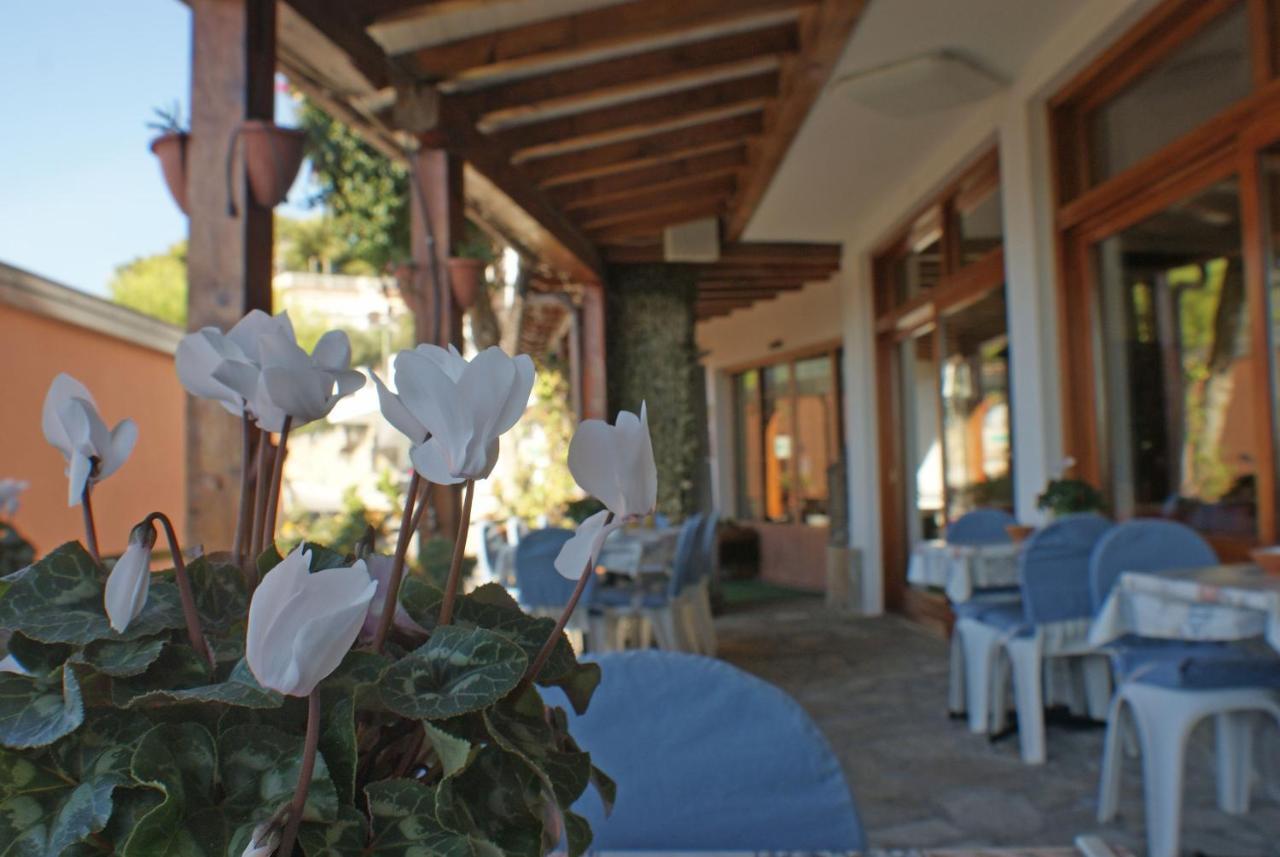 Albergo La Pineta Marina dʼMarina dʼAndora Εξωτερικό φωτογραφία